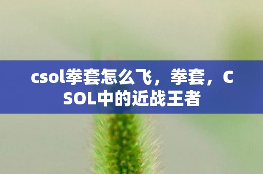 csol拳套怎么飞，拳套，CSOL中的近战王者