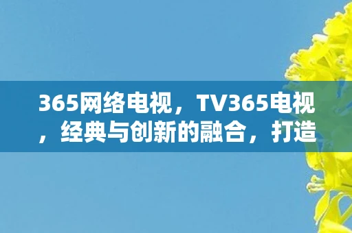 365网络电视，TV365电视，经典与创新的融合，打造家庭娱乐新体验