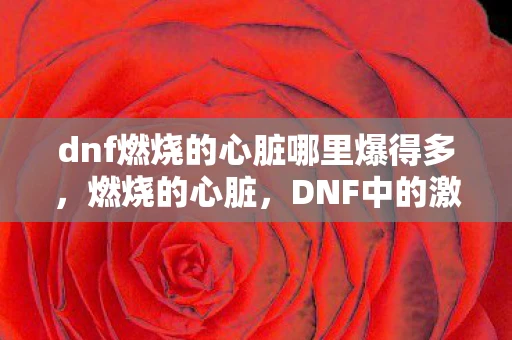 dnf燃烧的心脏哪里爆得多，燃烧的心脏，DNF中的激情与荣耀