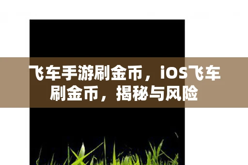 飞车手游刷金币，iOS飞车刷金币，揭秘与风险