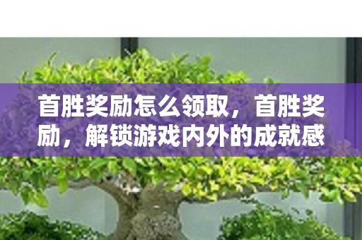 首胜奖励怎么领取，首胜奖励，解锁游戏内外的成就感