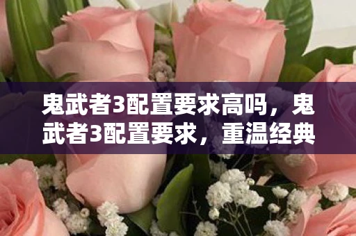 鬼武者3配置要求高吗，鬼武者3配置要求，重温经典游戏的硬件门槛