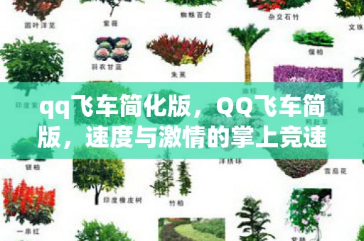 qq飞车简化版，QQ飞车简版，速度与激情的掌上竞速