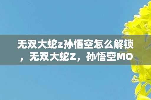无双大蛇z孙悟空怎么解锁，无双大蛇Z，孙悟空MOD的震撼登场