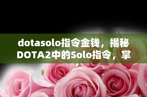 dotasolo指令金钱，揭秘DOTA2中的Solo指令，掌握核心战术，提升游戏水平