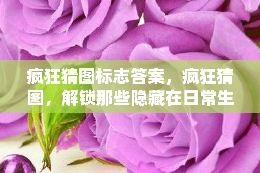 疯狂猜图标志答案，疯狂猜图，解锁那些隐藏在日常生活中的品牌标志