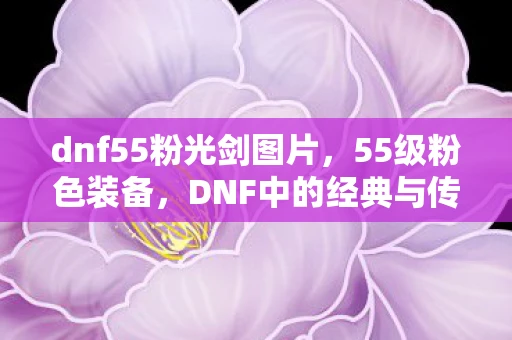 dnf55粉光剑图片，55级粉色装备，DNF中的经典与传奇