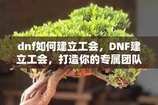 dnf如何建立工会，DNF建立工会，打造你的专属团队