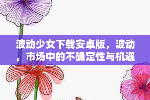 波动少女下载安卓版，波动，市场中的不确定性与机遇