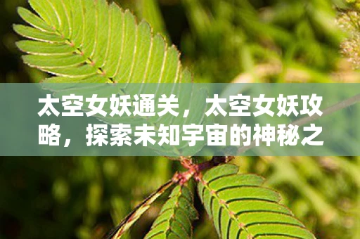 太空女妖通关，太空女妖攻略，探索未知宇宙的神秘之旅