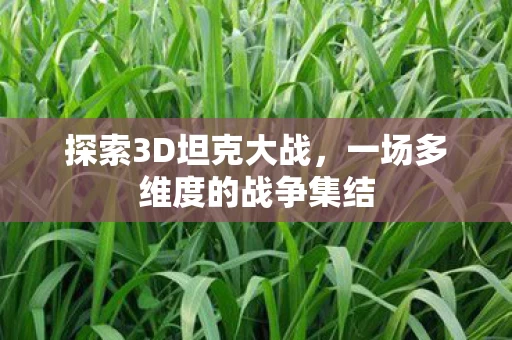 一场多维度的战争集结图片