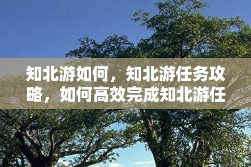 知北游如何，知北游任务攻略，如何高效完成知北游任务