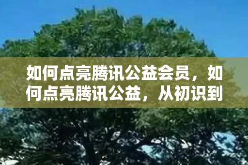 如何点亮腾讯公益会员，如何点亮腾讯公益，从初识到成为公益达人