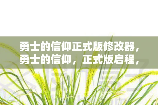 勇士的信仰正式版修改器，勇士的信仰，正式版启程，探索未知世界的冒险之旅