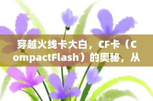 穿越火线卡大白，CF卡（CompactFlash）的奥秘，从起源到应用