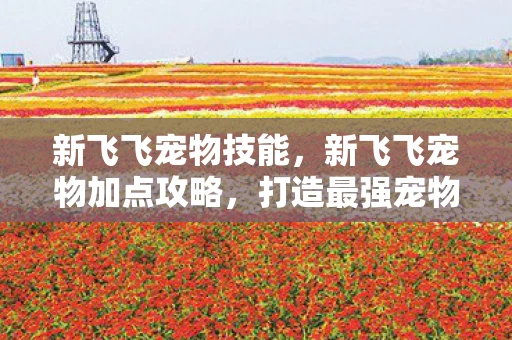 新飞飞宠物技能，新飞飞宠物加点攻略，打造最强宠物，助你驰骋游戏世界