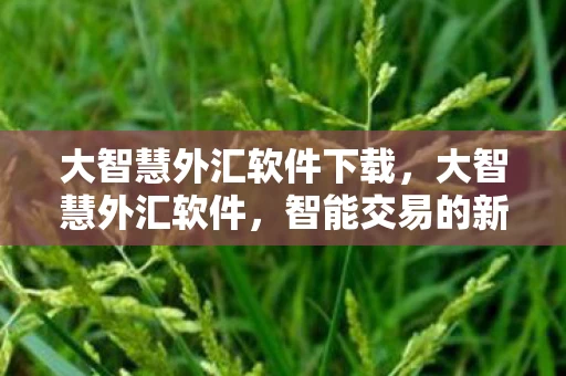 大智慧外汇软件下载，大智慧外汇软件，智能交易的新篇章