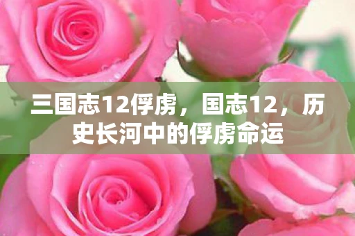 三国志12俘虏，国志12，历史长河中的俘虏命运