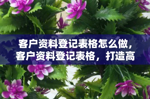 客户资料登记表格怎么做，客户资料登记表格，打造高效客户管理的第一步