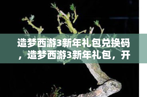 造梦西游3新年礼包兑换码，造梦西游3新年礼包，开启你的西游冒险之旅