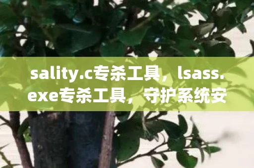sality.c专杀工具，lsass.exe专杀工具，守护系统安全的利器