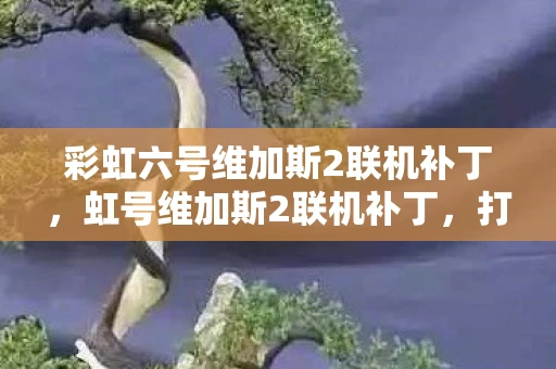 彩虹六号维加斯2联机补丁，虹号维加斯2联机补丁，打造完美游戏体验的必备神器