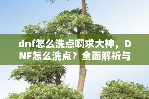 dnf怎么洗点啊求大神，DNF怎么洗点？全面解析与攻略
