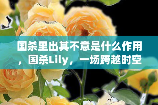 国杀里出其不意是什么作用，国杀Lily，一场跨越时空的智斗与情感纠葛