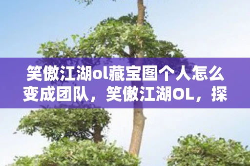 笑傲江湖ol藏宝图个人怎么变成团队，笑傲江湖OL，探寻神秘藏宝图的秘密