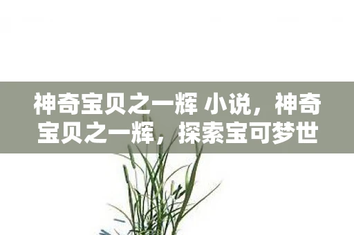 神奇宝贝之一辉 小说，神奇宝贝之一辉，探索宝可梦世界的传奇之旅