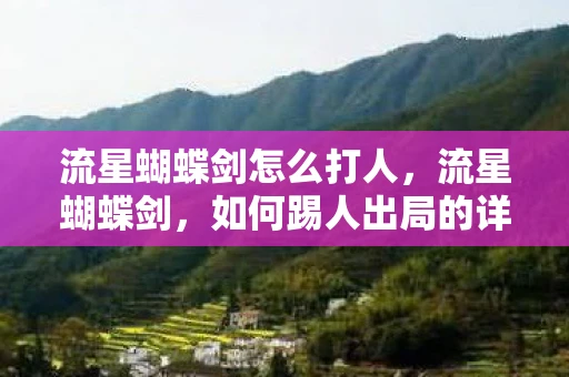 流星蝴蝶剑怎么打人，流星蝴蝶剑，如何踢人出局的详细指南