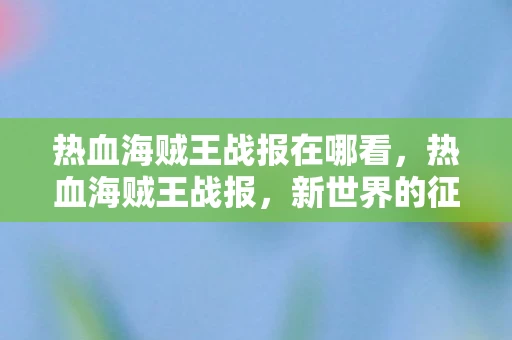 热血海贼王战报在哪看，热血海贼王战报，新世界的征途与荣耀