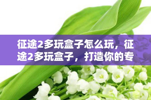 征途2多玩盒子怎么玩，征途2多玩盒子，打造你的专属游戏世界