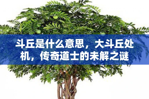 斗丘是什么意思，大斗丘处机，传奇道士的未解之谜