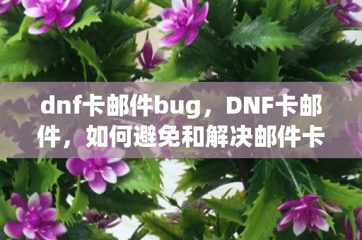 dnf卡邮件bug，DNF卡邮件，如何避免和解决邮件卡顿问题