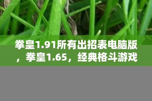 拳皇1.91所有出招表电脑版，拳皇1.65，经典格斗游戏的全新篇章
