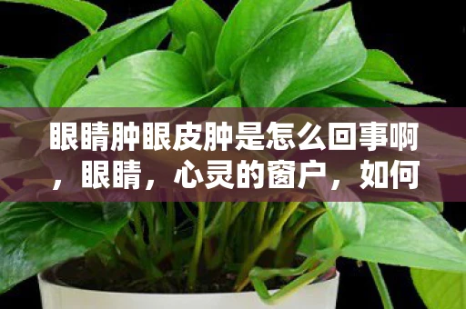 眼睛肿眼皮肿是怎么回事啊，眼睛，心灵的窗户，如何呵护这扇门？
