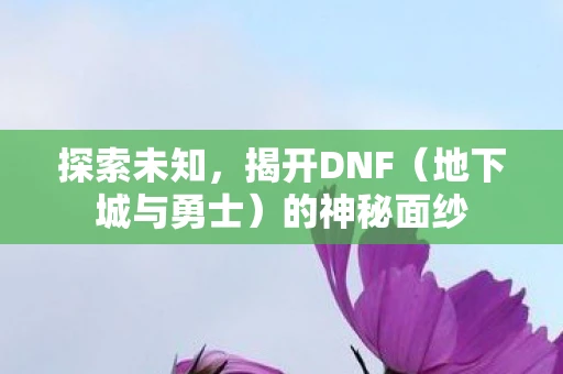 探索未知，揭开DNF（地下城与勇士）的神秘面纱