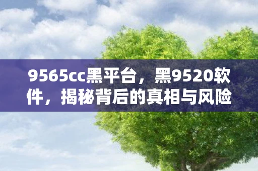 9565cc黑平台，黑9520软件，揭秘背后的真相与风险