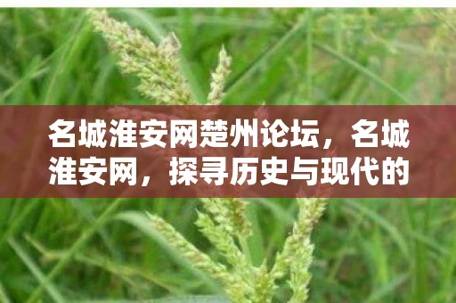 名城淮安网楚州论坛，名城淮安网，探寻历史与现代的交汇点