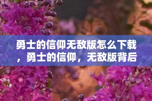 勇士的信仰无敌版怎么下载，勇士的信仰，无敌版背后的故事与启示