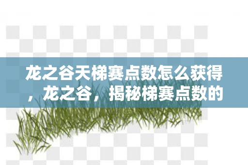 龙之谷天梯赛点数怎么获得，龙之谷，揭秘梯赛点数的获取之道