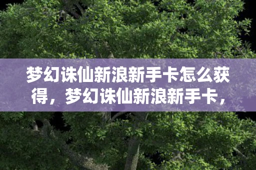 梦幻诛仙新浪新手卡怎么获得，梦幻诛仙新浪新手卡，开启你的仙侠之旅