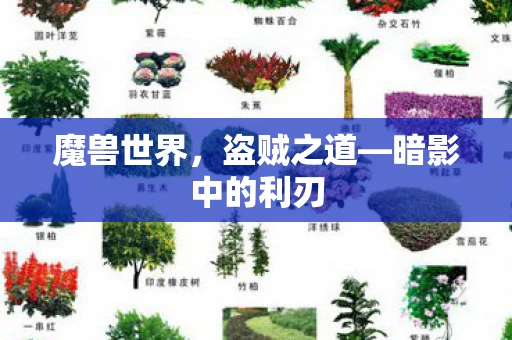 暗影中的利刃图片
