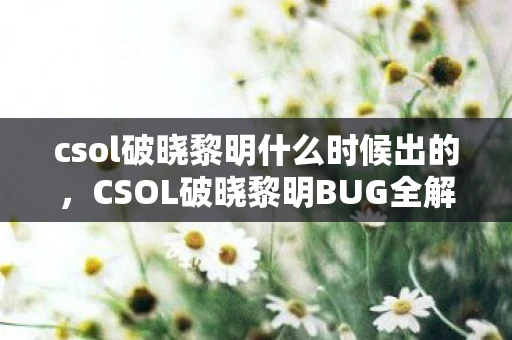csol破晓黎明什么时候出的，CSOL破晓黎明BUG全解析，游戏平衡与玩家体验的挑战
