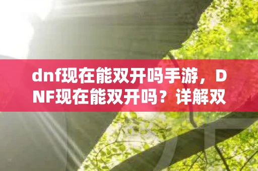 dnf现在能双开吗手游，DNF现在能双开吗？详解双开方法及注意事项