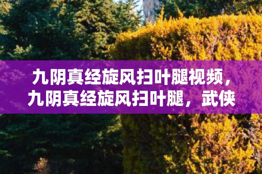 九阴真经旋风扫叶腿视频，九阴真经旋风扫叶腿，武侠世界中的绝世武技