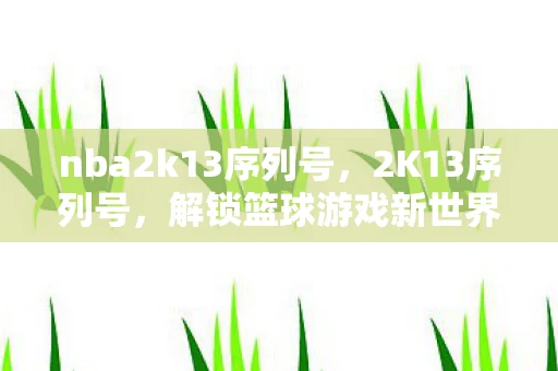 nba2k13序列号，2K13序列号，解锁篮球游戏新世界的钥匙