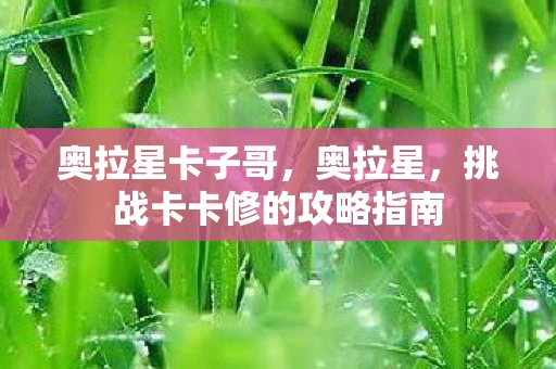 奥拉星卡子哥，奥拉星，挑战卡卡修的攻略指南