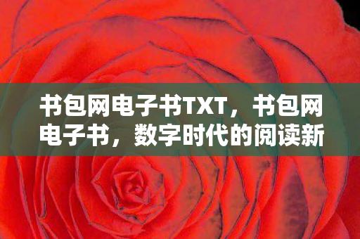 书包网电子书TXT，书包网电子书，数字时代的阅读新选择